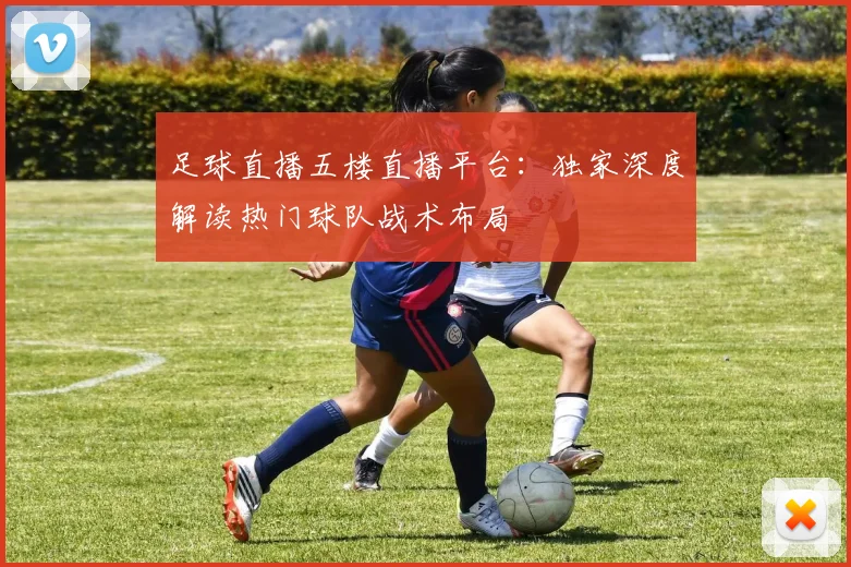 足球直播五楼直播平台：独家深度解读热门球队战术布局