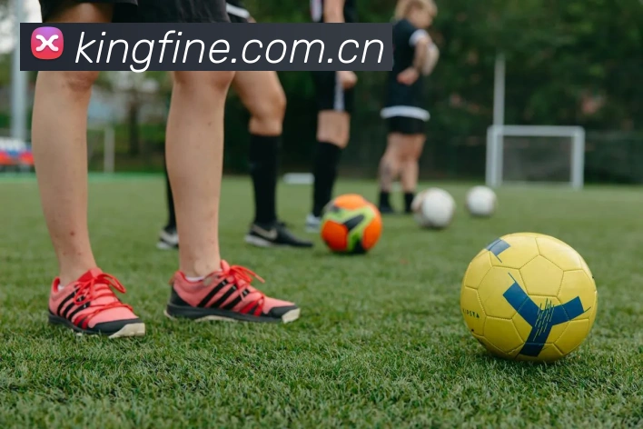 App Interface Preview